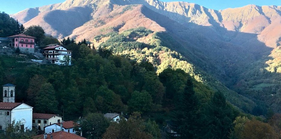 Orto Botanico Forestale dell'Abetone, Italy, Italy